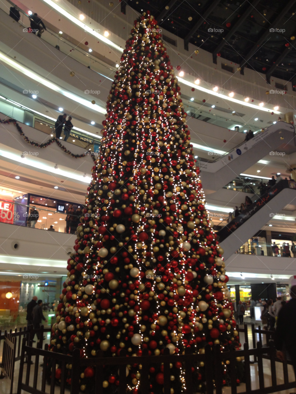 amman light red tree by a.bilbaisi