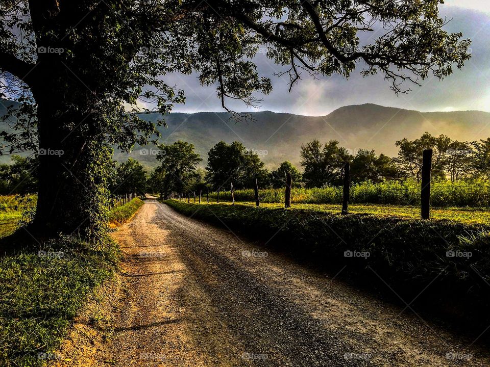 Sparks Lane in Cades Cove