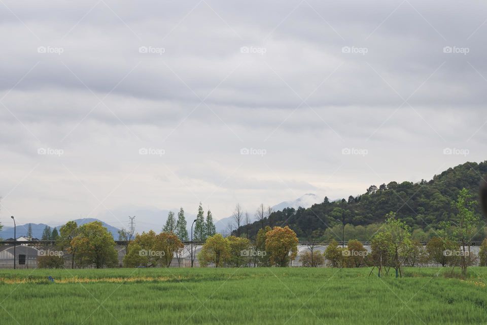 乡村风光