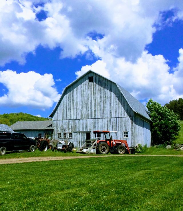 Down on the farm