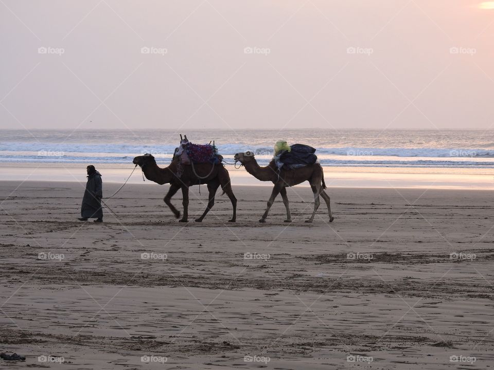 A walk along the beach