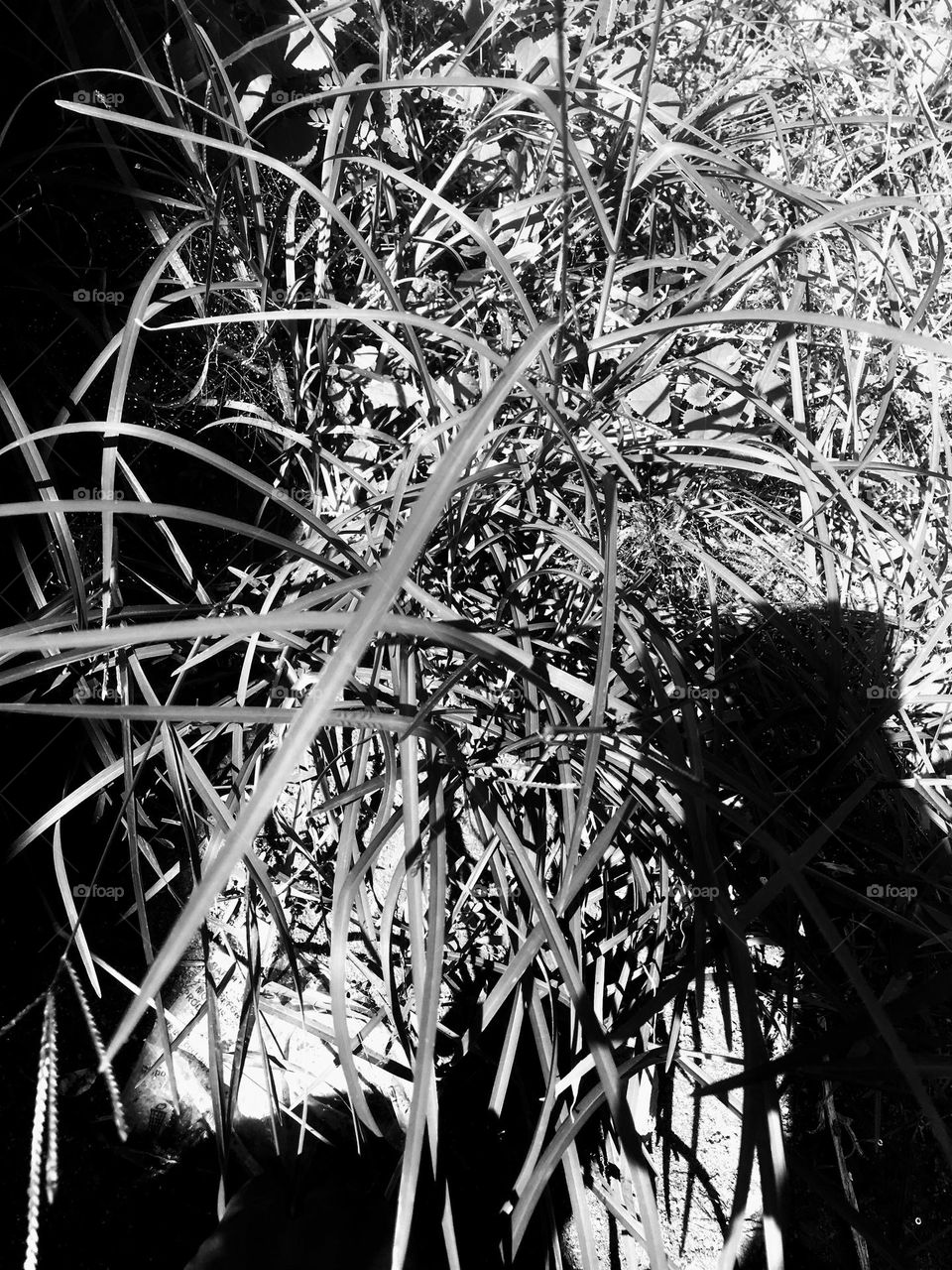 summer is here, utilizes the season to capture beautiful moments 