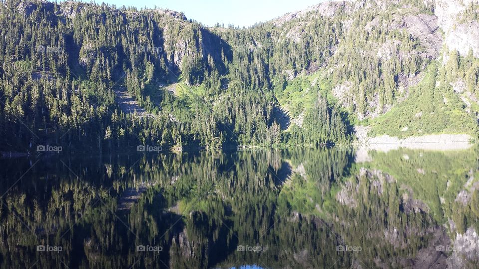 Lake reflection.
