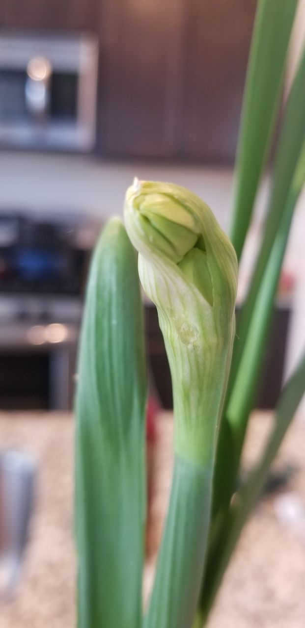 in the beginning