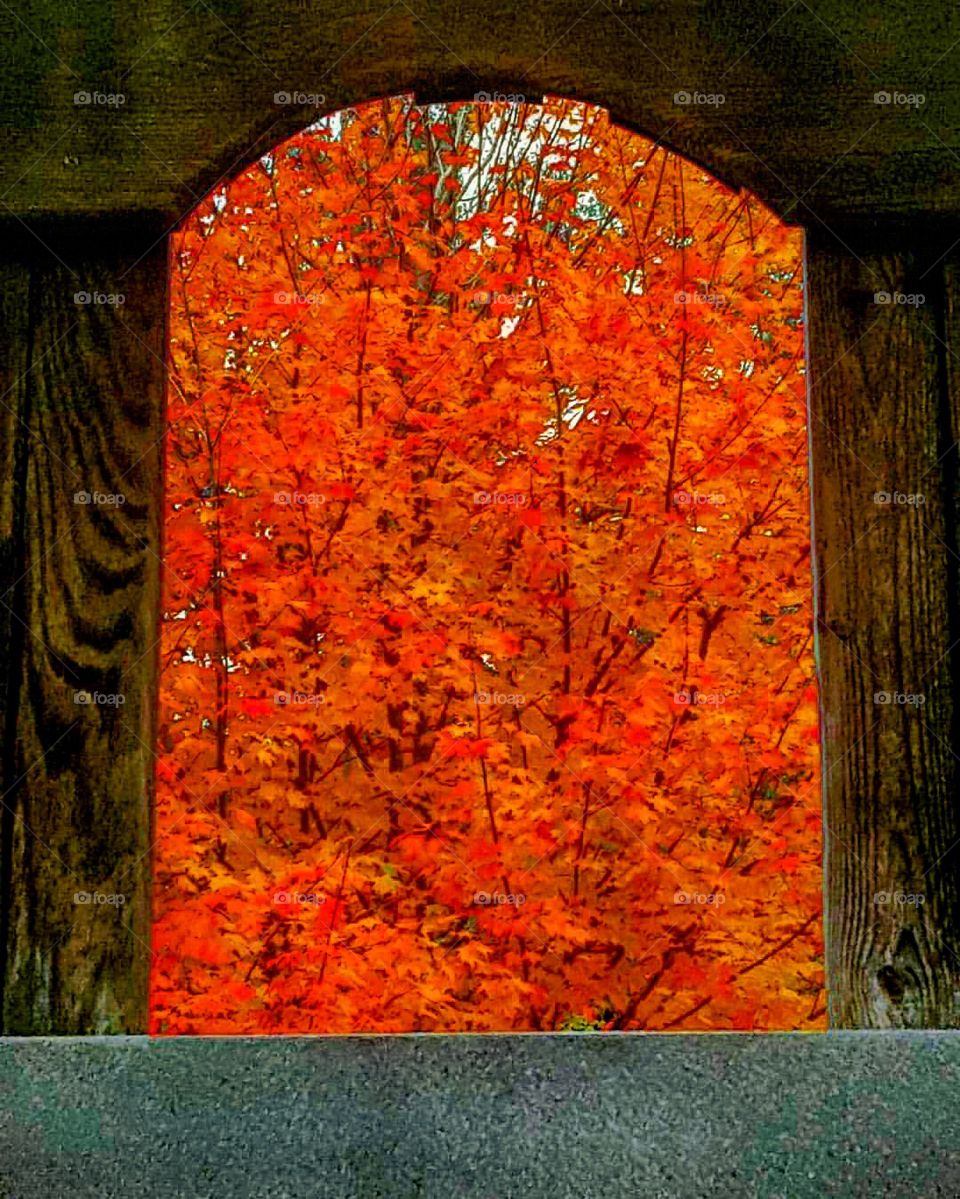 The doorway to Fall in Asheville NC where all 4 seasons are real