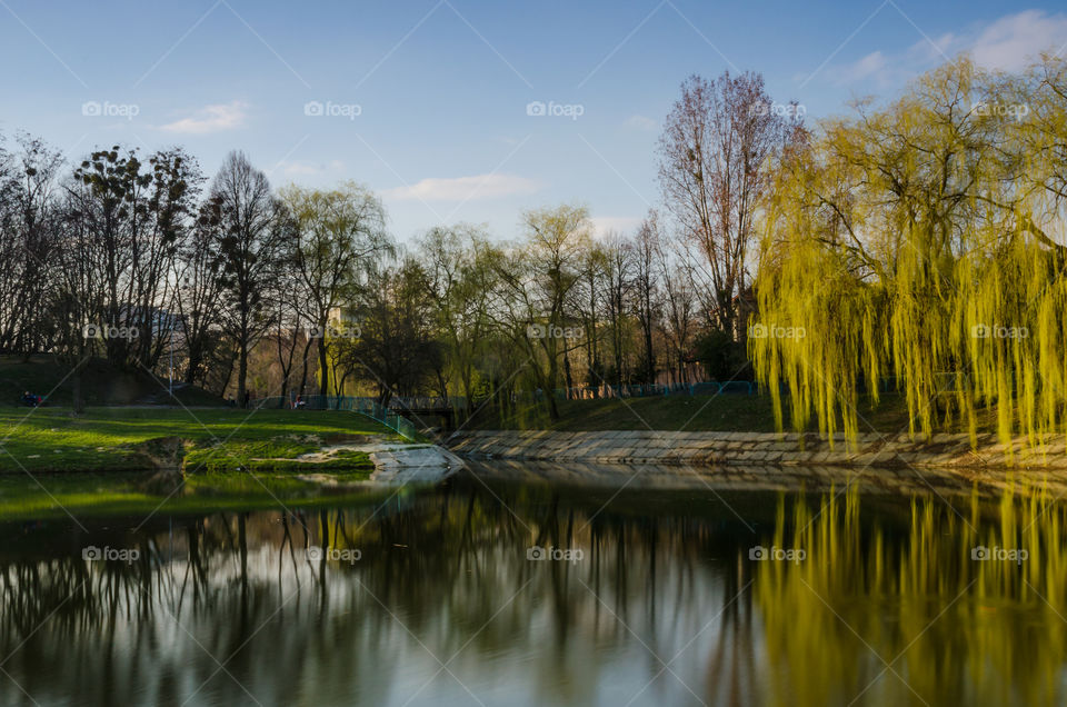 city park with lake in the spring season