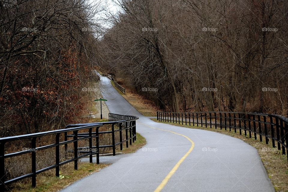 Empty road through forest