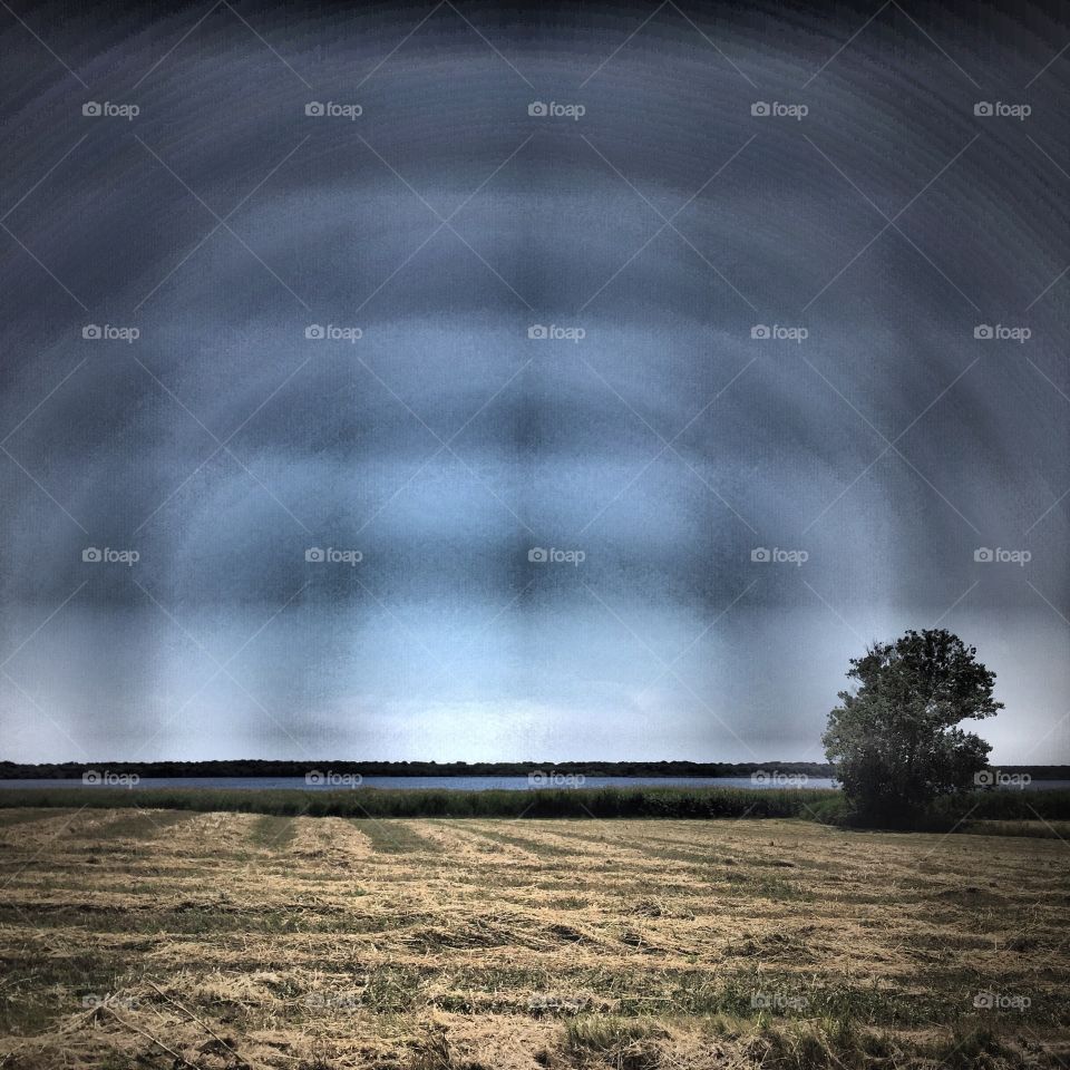 View on sea and a tree