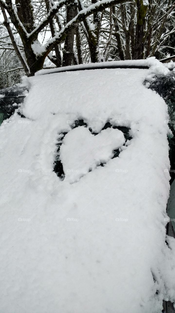 Snow, Winter, Cold, Ice, Frost