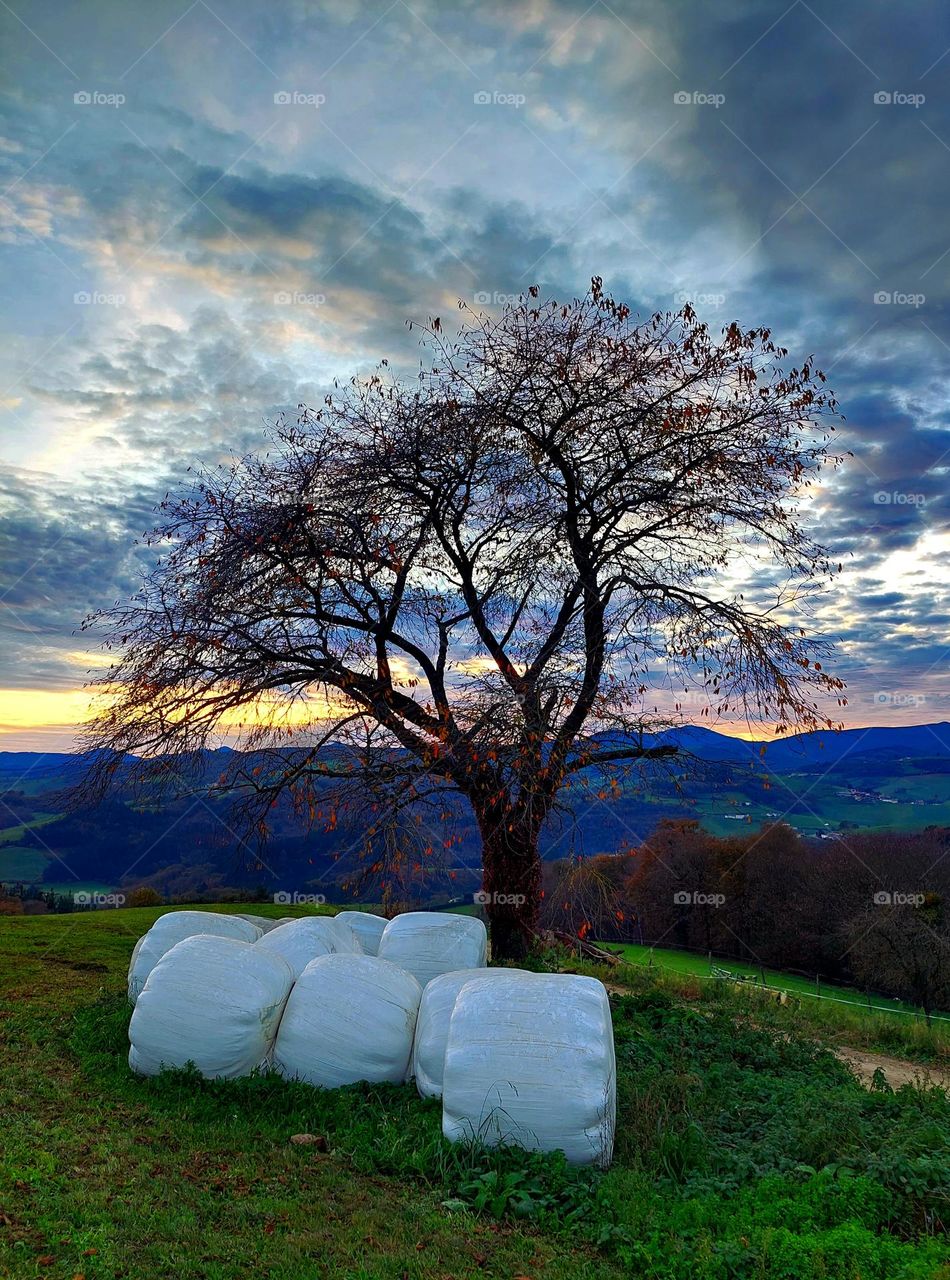 Sunset in countryside