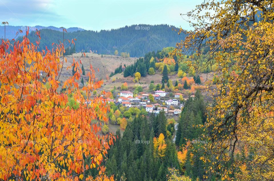 Autumn Landscape, Rhodopes Mountain, Bulgaria