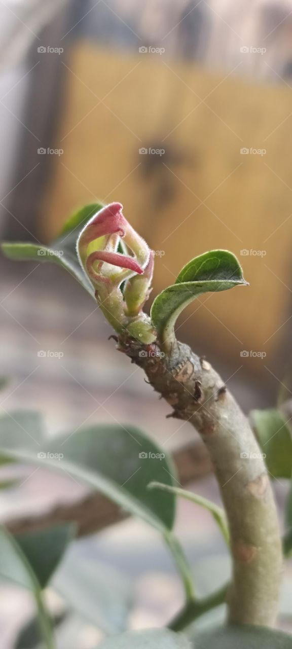 The magic of new life brings a smile on each face.