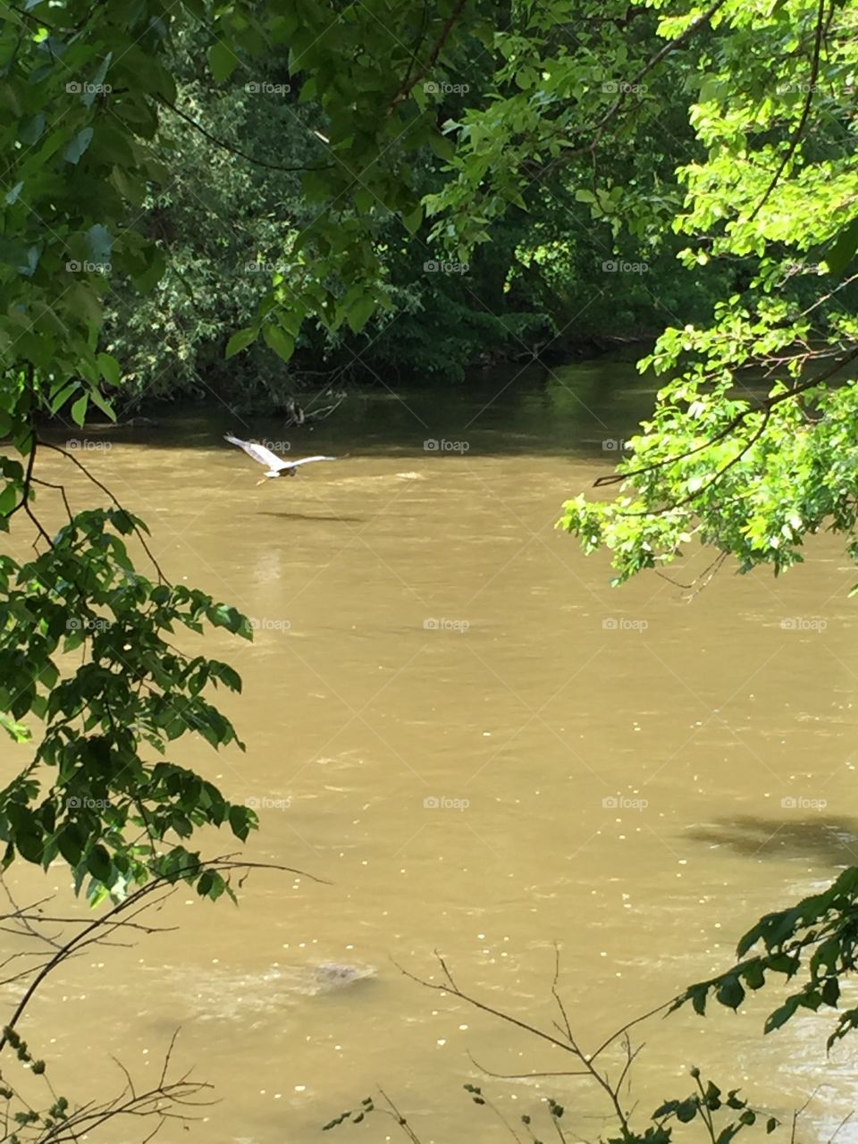 Flying over river 