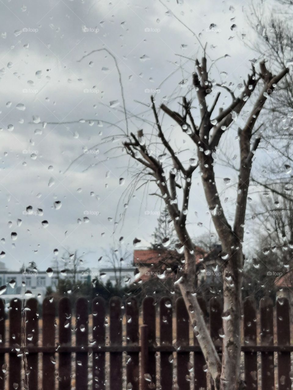 rainy day through the window with rain drops on the glass