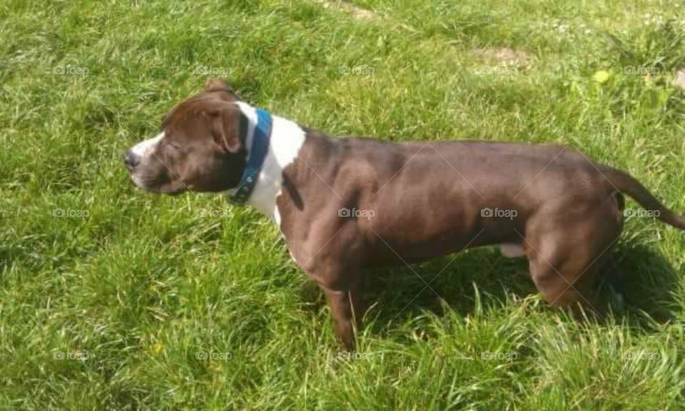 LOOKING AT SOMETHING.