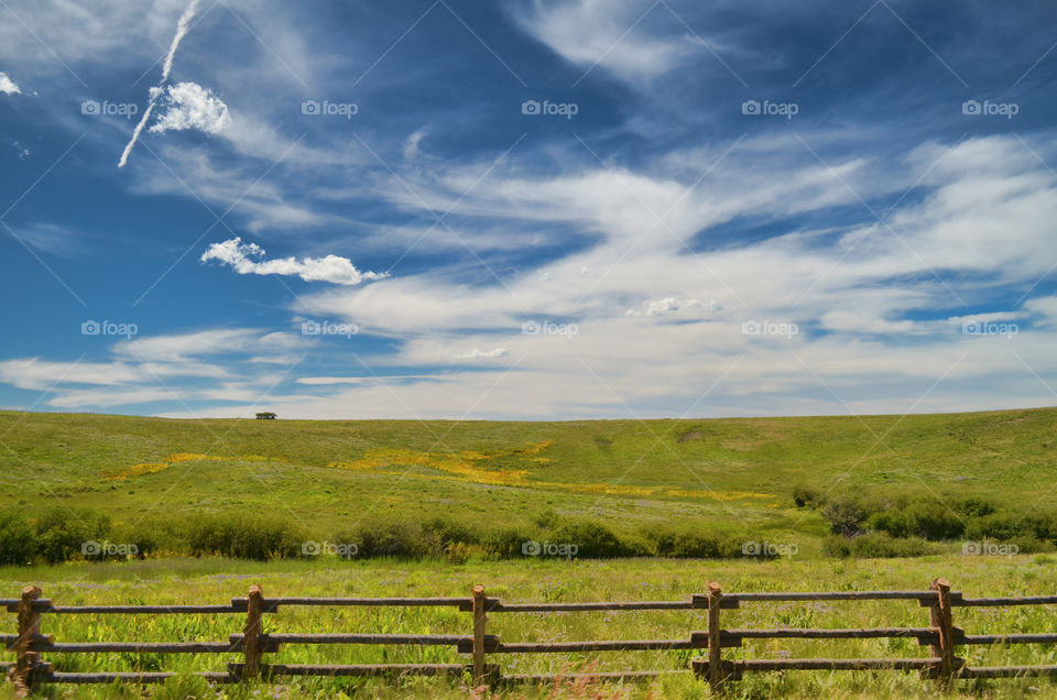 Heading Down Last Dollar Road