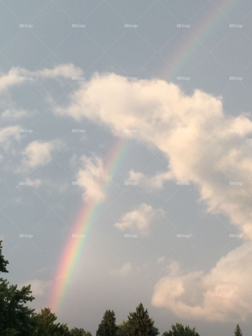 Rainbow to heaven 