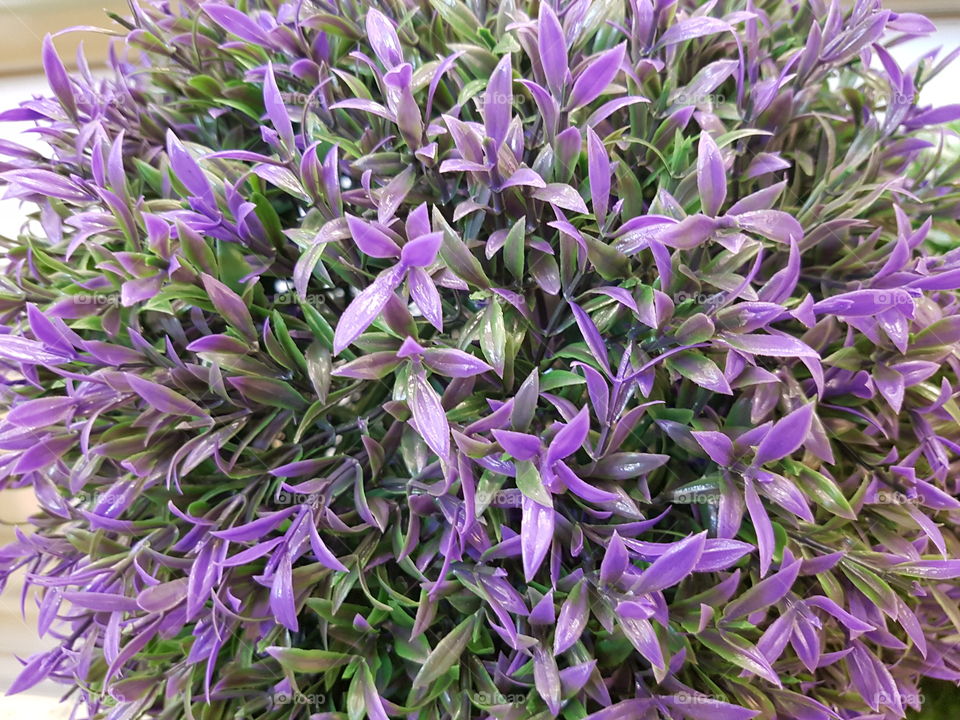 Plastic Purple Arrangement