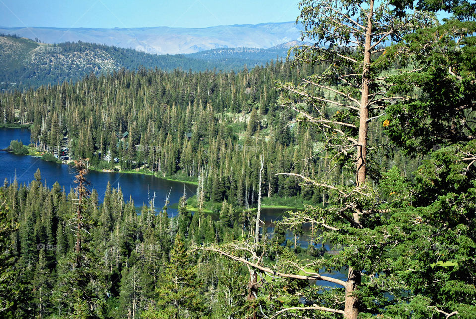 forest twin lake