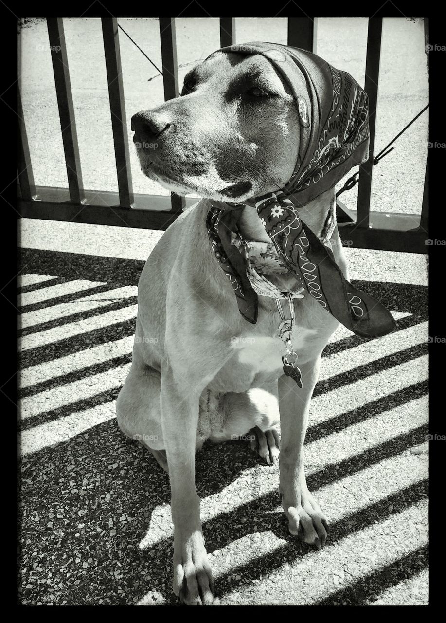 Babushka Lucy . Our daily walk. Stop for photos. 