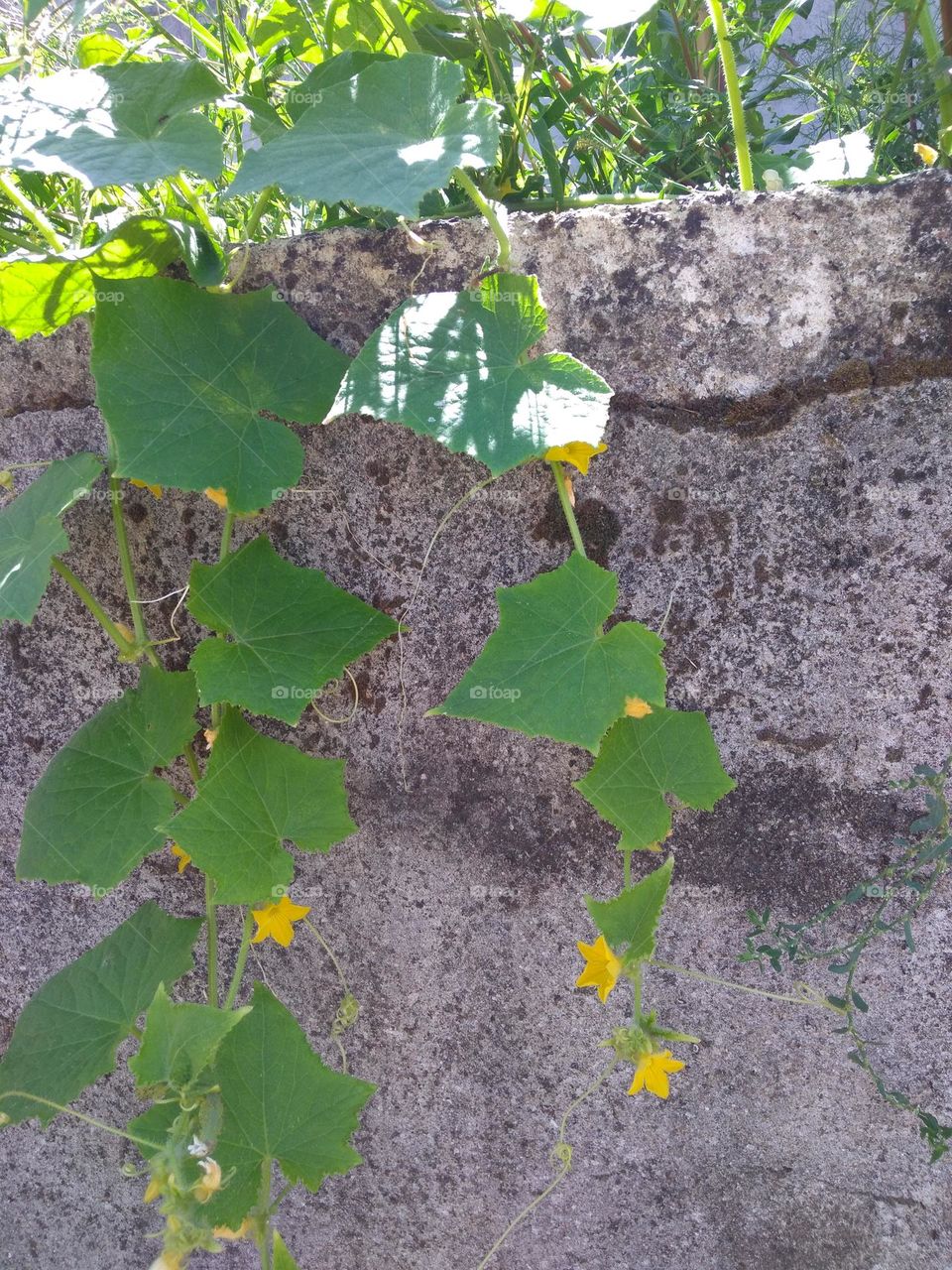 Colors of 2021: Ultimate Gray & Illuminating