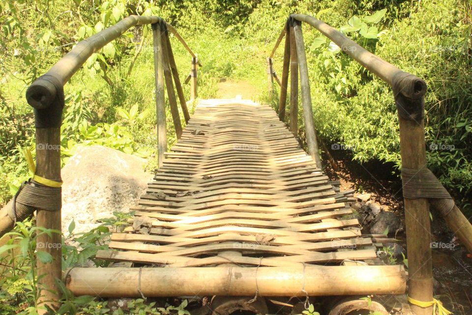 bamboo bridge