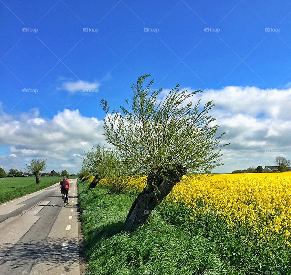 Biking along