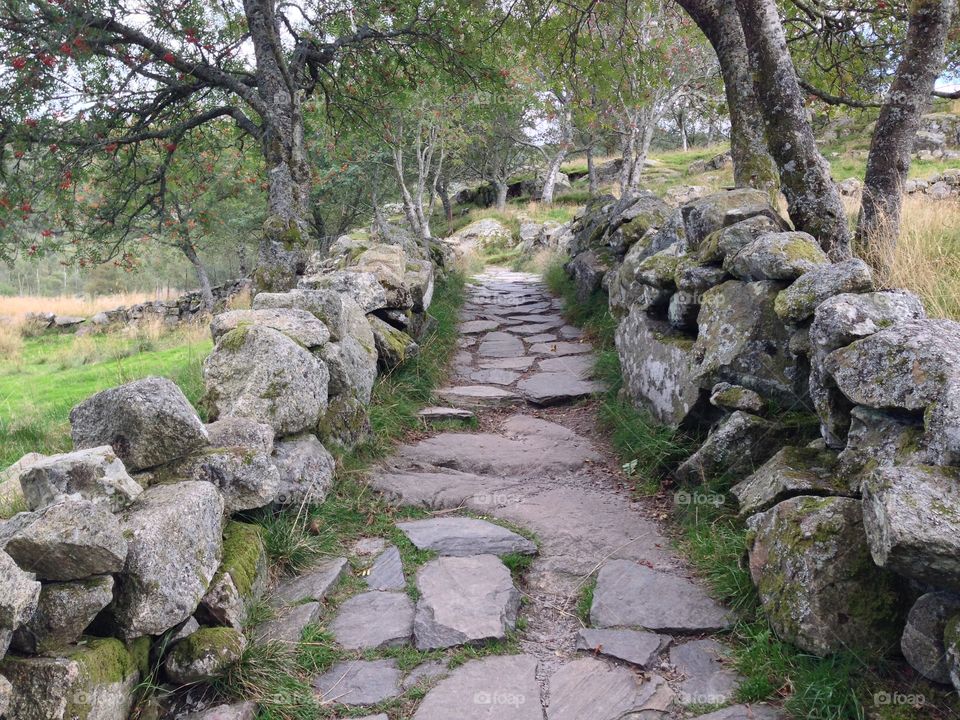 Stone trail, Dalsnuten, Norway. Rustic stone trail leading to Dalsnuten hill in Stavanger region of Norway
