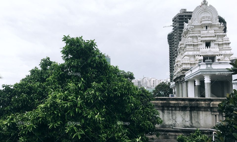 A temple in Bangalore, India, backed by a city skyline. The beautiful, thriving tree and ancient temple in the foreground contrast beautifully with the modern elements behind