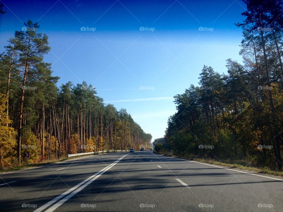 Autumn on the road