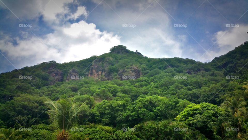 mountain side..St Lucia