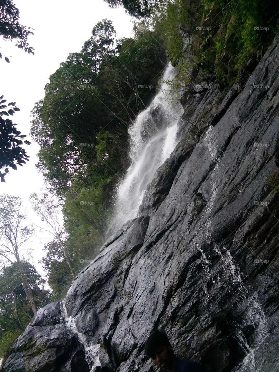 nature falls