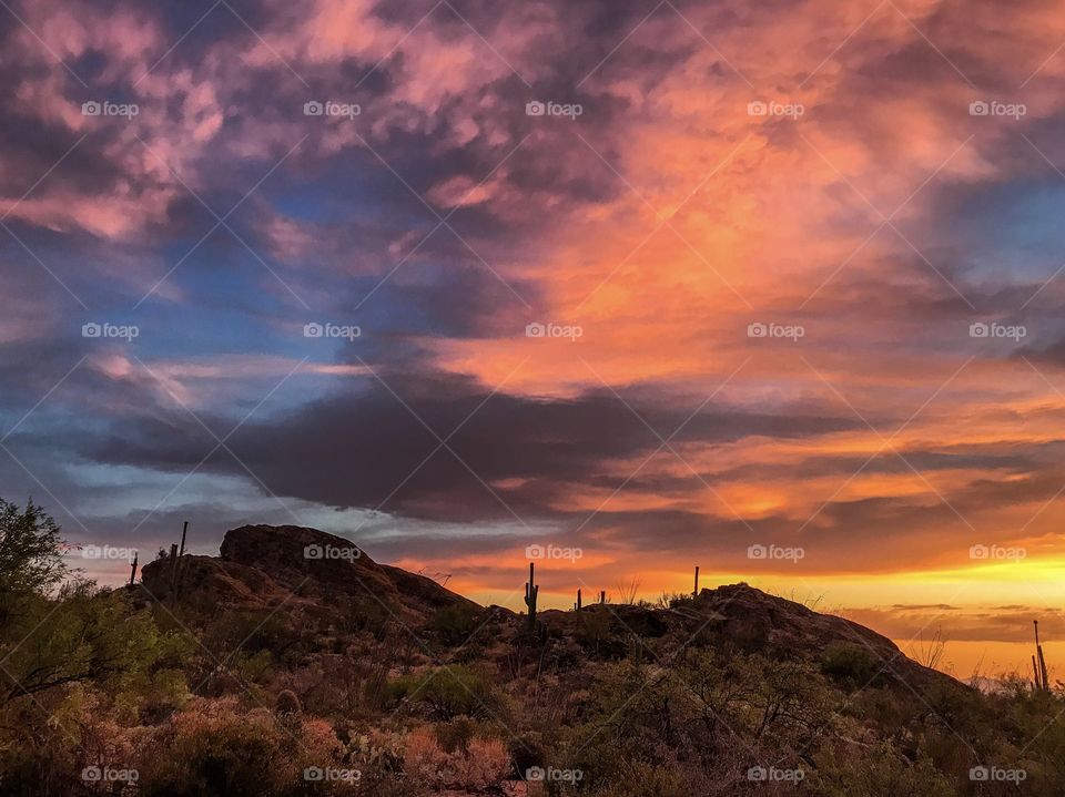 Desert Landscape - Sunset 