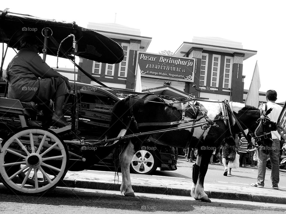 Andong in front of the market