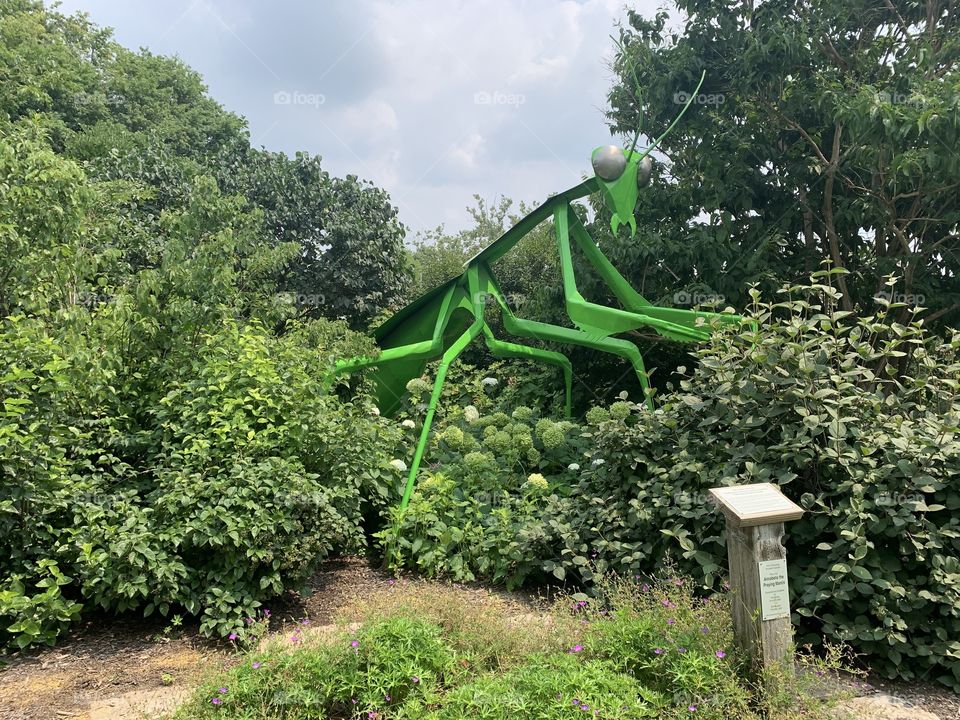 Annabelle, the 15-foot tall Praying Mantis, at the Phenology Garden at Ohio State University.