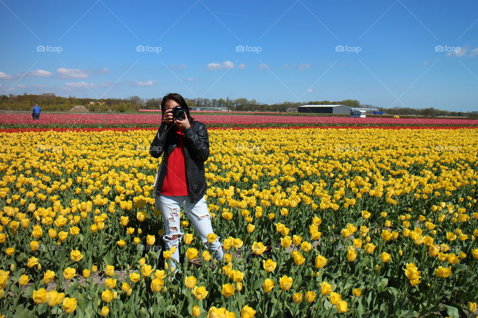 Tulip Field Photographer