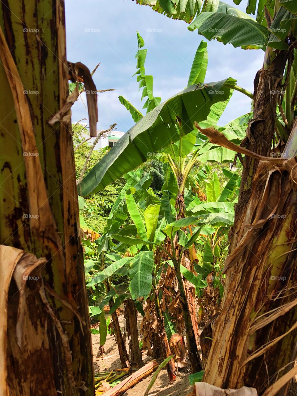 The beautiful country of Ecuador 