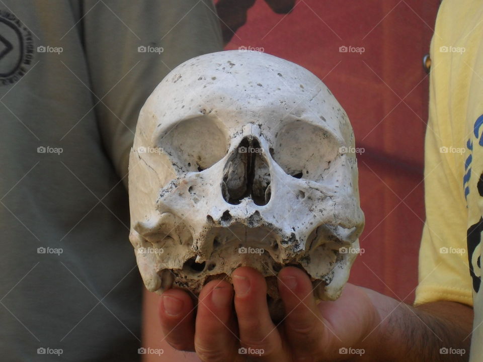 an ancient skull