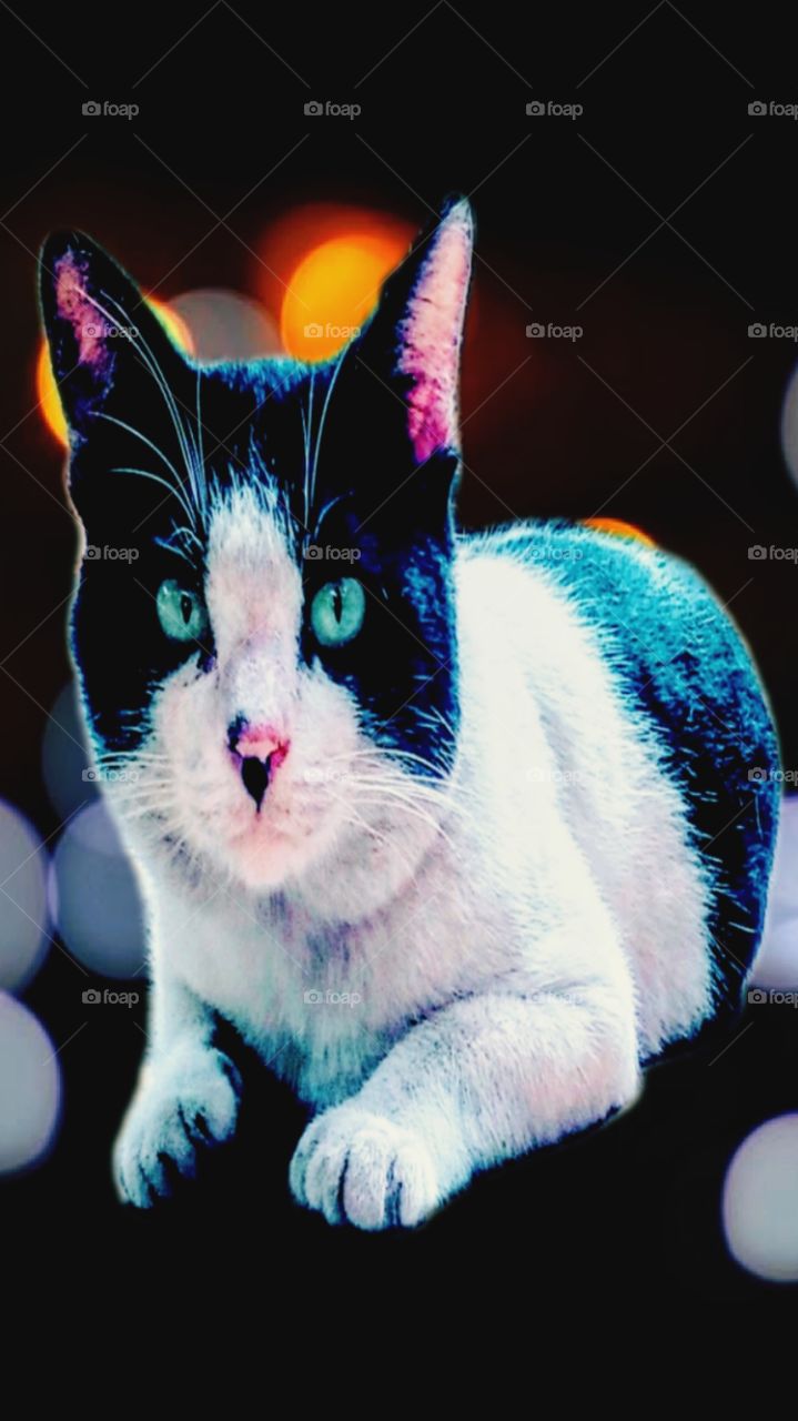 Stylish with artificial backgrounds