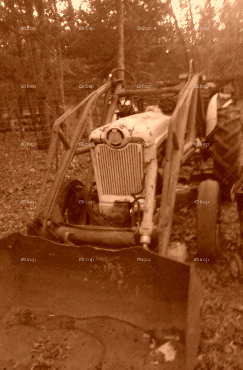 old tractor 1953
