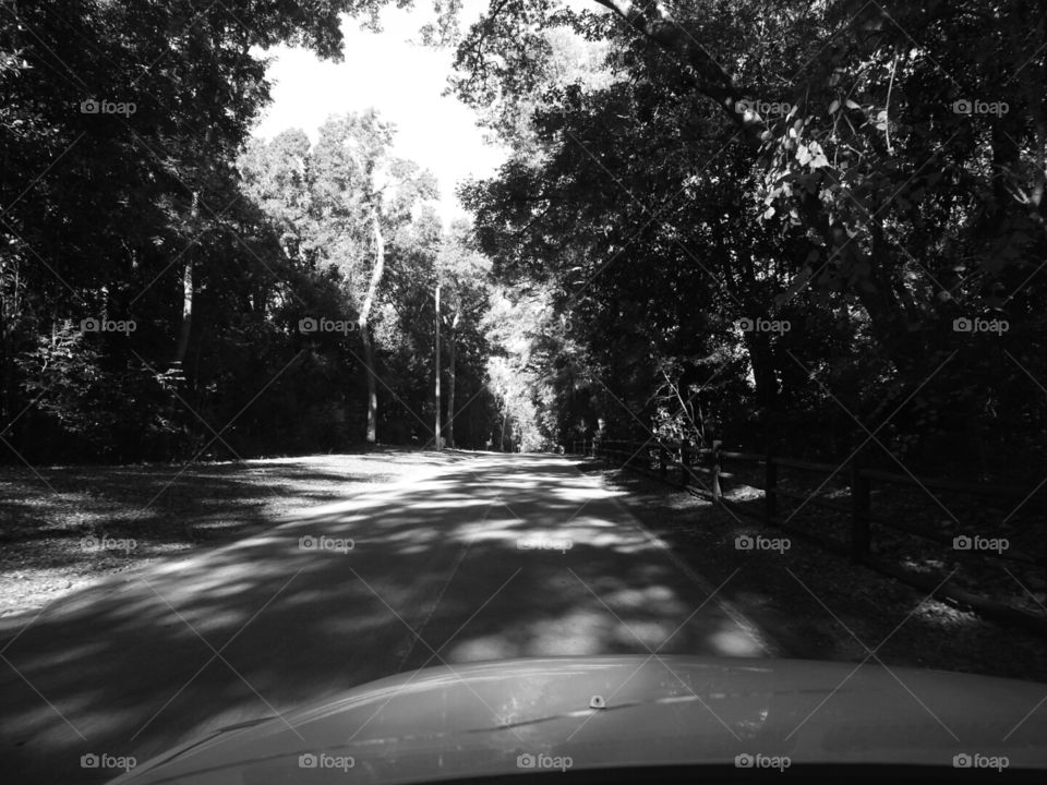 A beautiful drive on Airilie in Wilmington NC