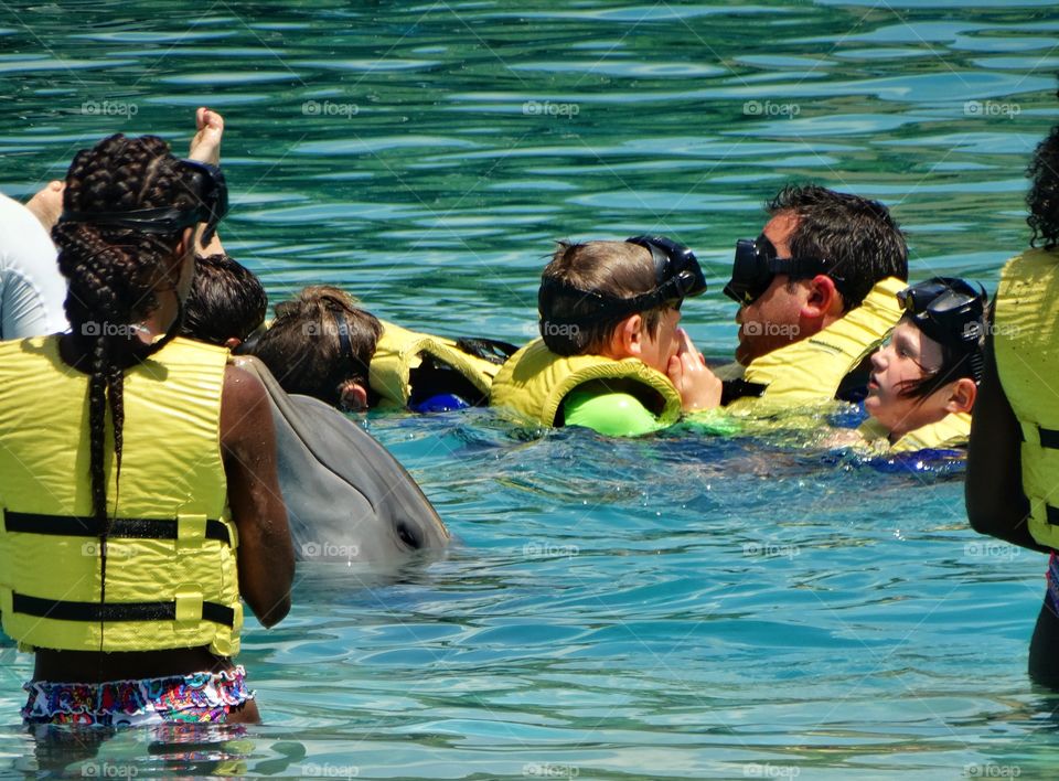 Swimming With Dolphins