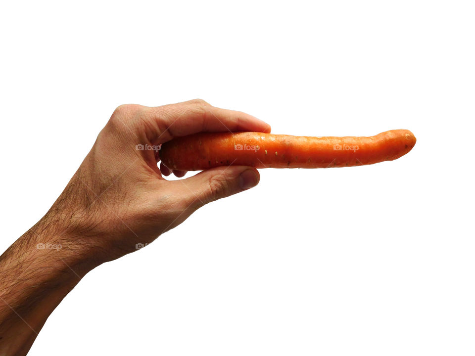 carrot in hand