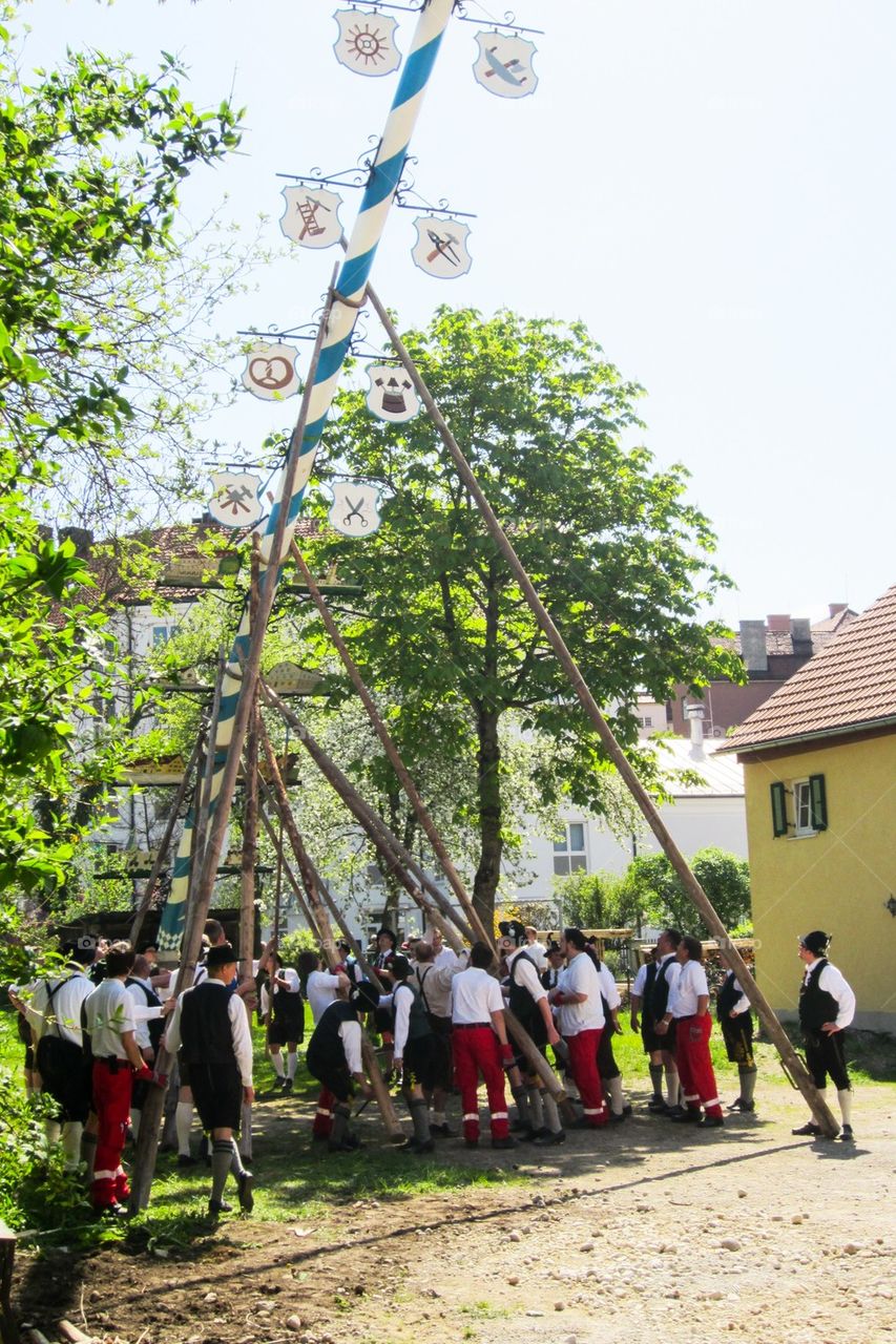 Traditional raising of the maypole in Bavaria