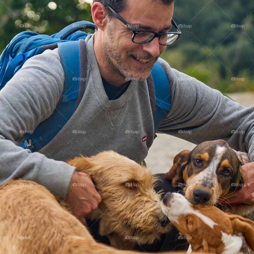 Three Dogs Welcoming His Owner