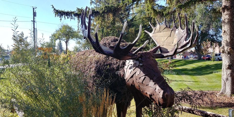 Moose Art at Idaho Falls, ID