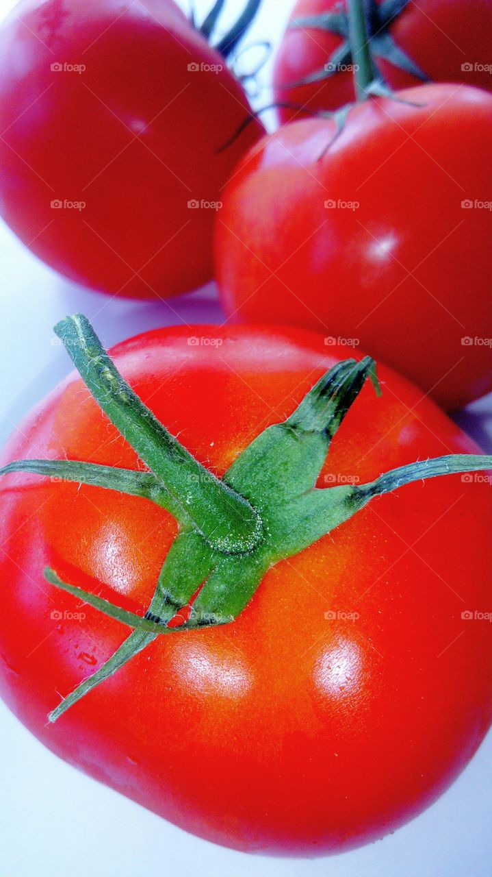 Tomato