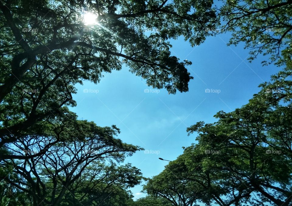 Sometimes we can see love everywhere