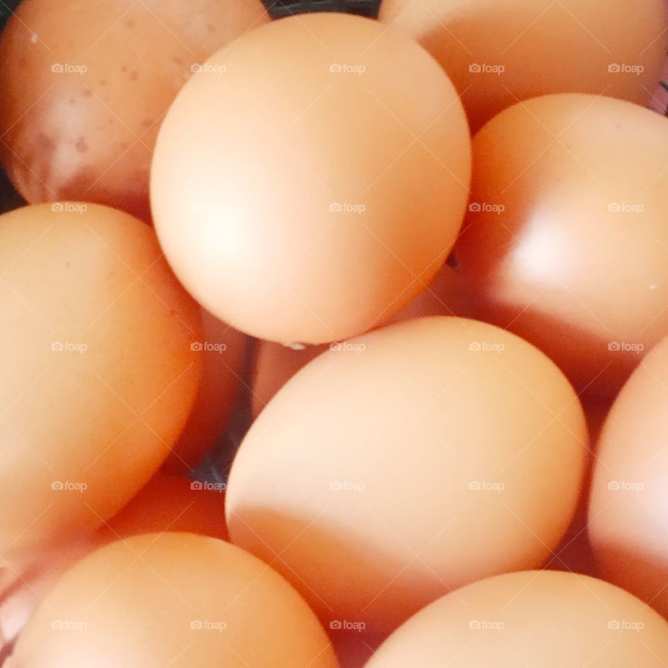 chicken eggs