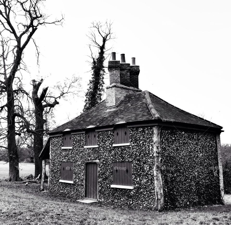 Country cottage